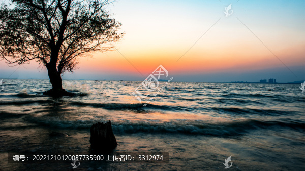 巢湖蘆溪濕地