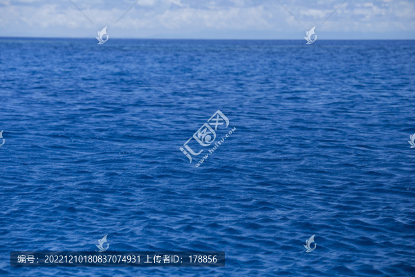 海洋