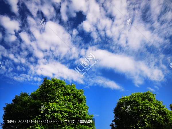 風(fēng)景