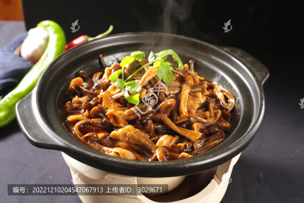 砂鍋野山菌