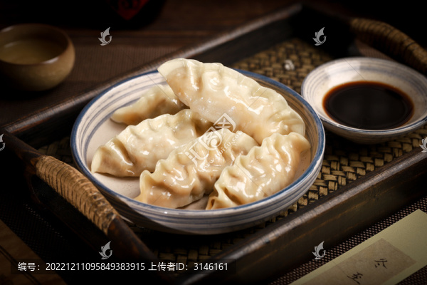 鮮肉餃子