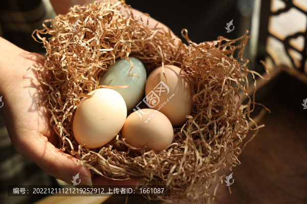 農(nóng)家雞蛋