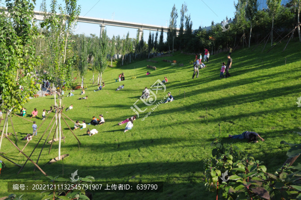 綠地上的游客