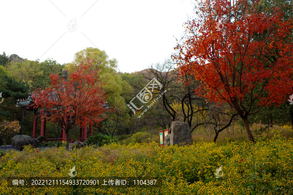 北京香山