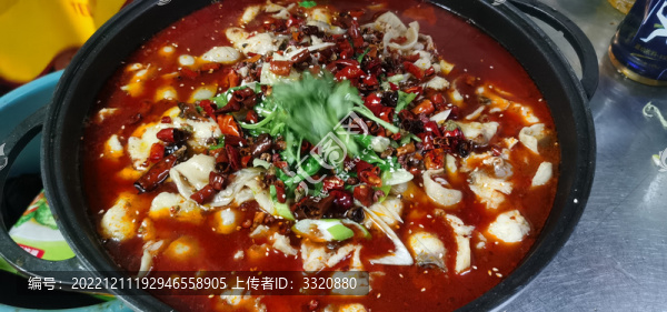肥腸魚