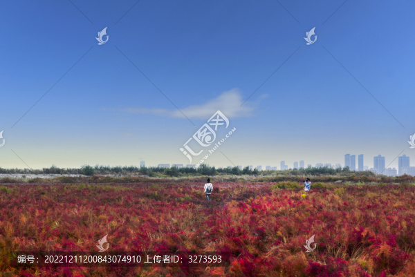城市濕地公園
