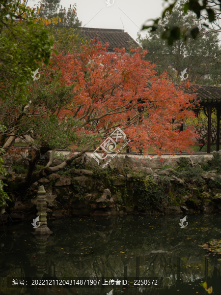 蘇州怡園