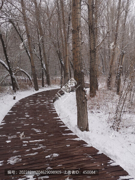公園雪景