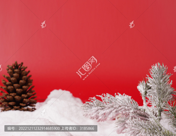 雪地松果