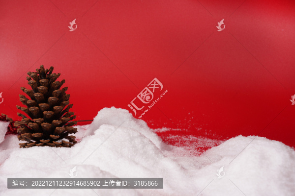 松果雪地