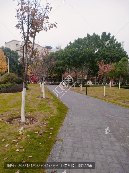 公園小路