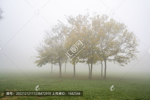 秋天的風(fēng)光
