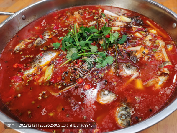 土鯽魚