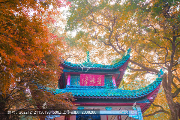 岳麓山愛(ài)晚亭紅葉