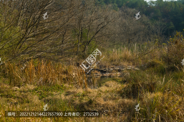 山丘自然風(fēng)光