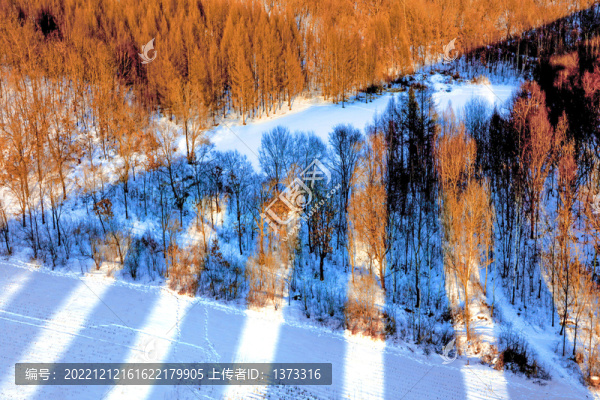 雪地白雪