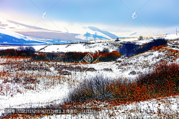 雪地白雪