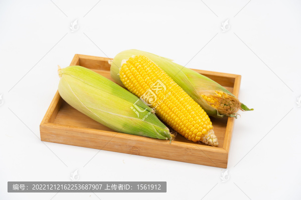 玉米