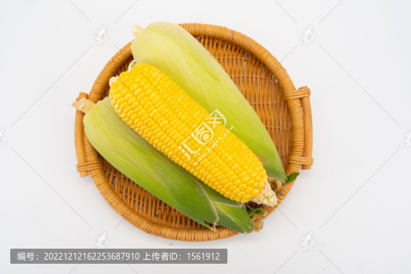 玉米