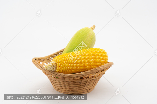 玉米