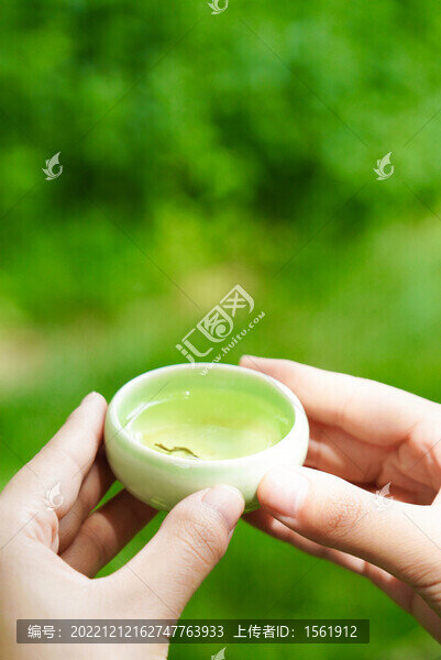夏至綠茶