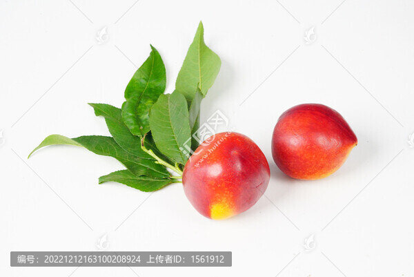 油桃
