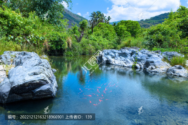 湖水