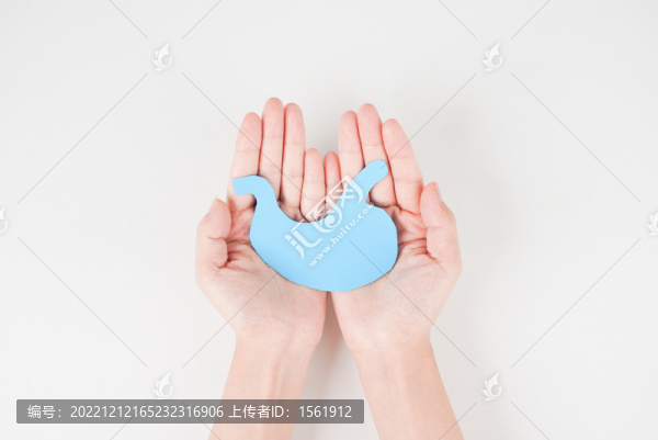 內(nèi)臟疾病