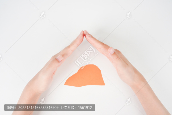 內(nèi)臟疾病
