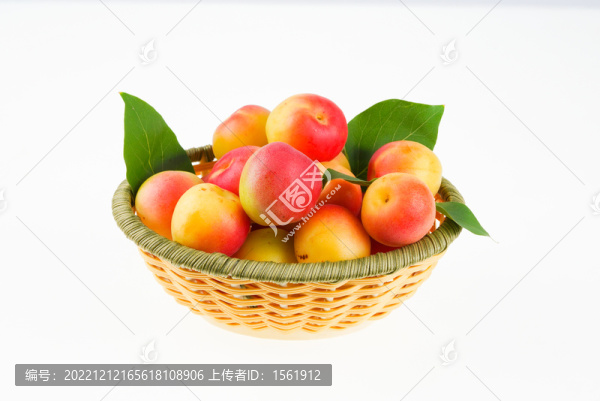 胭脂杏