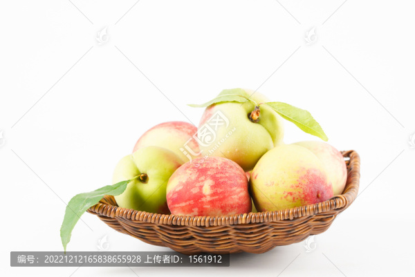 毛桃