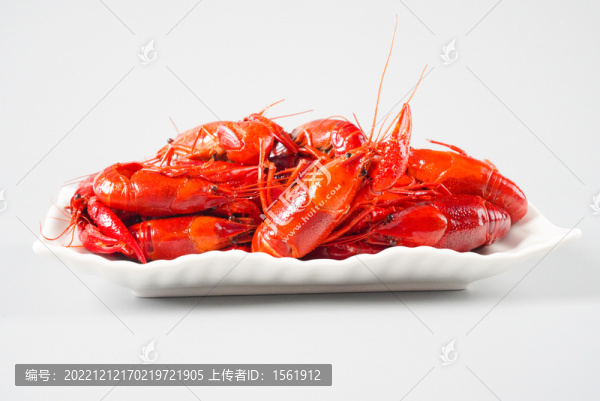 小龍蝦
