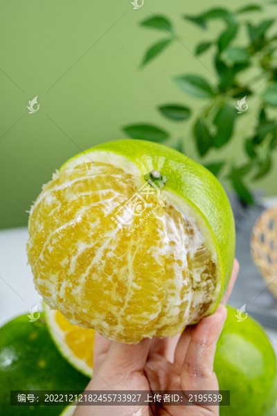 新鮮葡萄柚