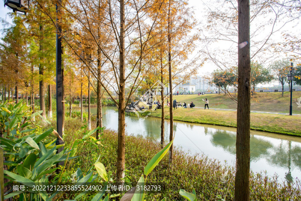 廣西蒙山濕地公園景美如畫