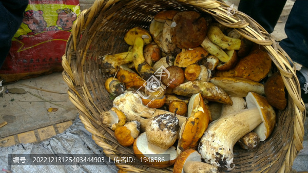 蘿筐里的白牛肝