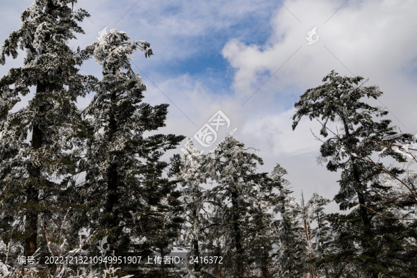 峨眉山霧凇