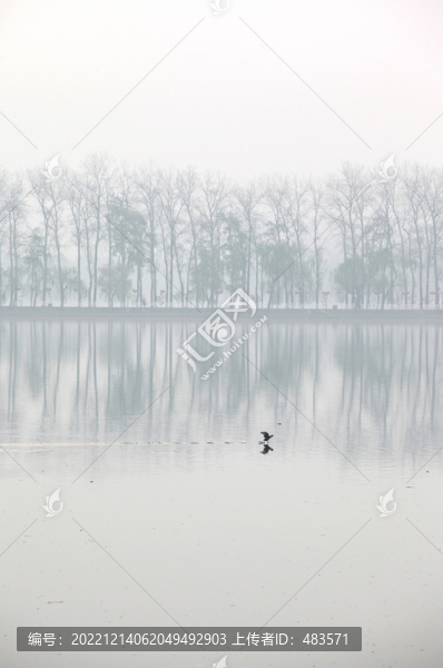 湖景