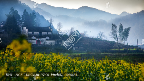 山居