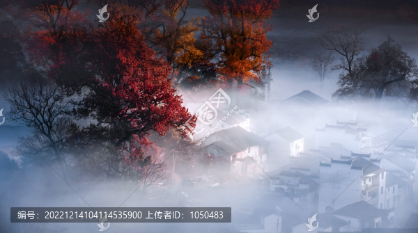 人間仙境1