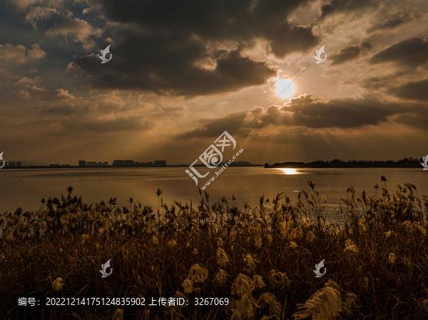 航拍蕪湖市龍窩湖濕地公園