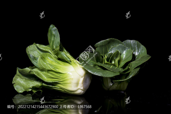 上海青菜