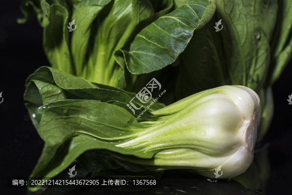 青菜