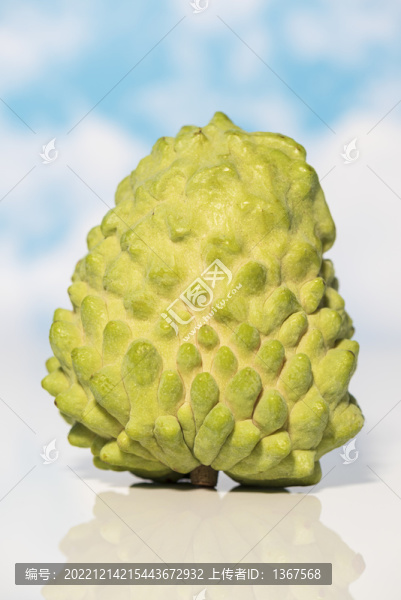 釋迦果