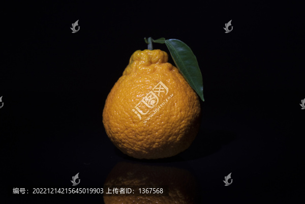 耙耙柑