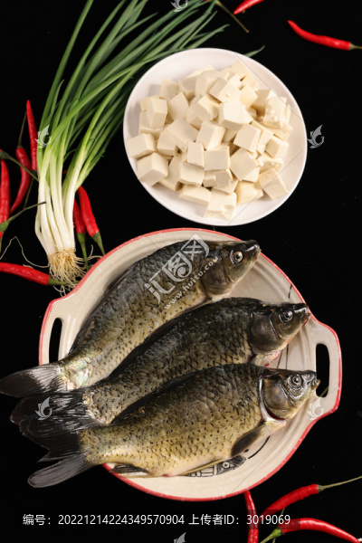 鯽魚