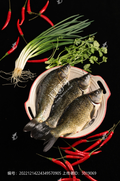 鯽魚