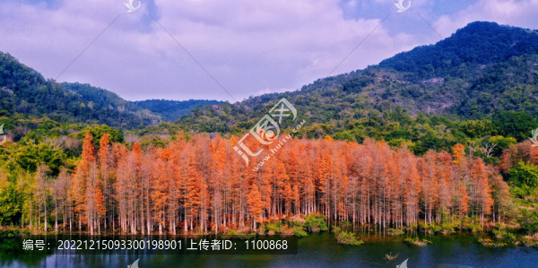 大寮水彬