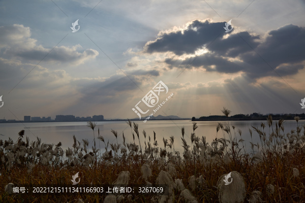 蕪湖市龍窩湖濕地公園