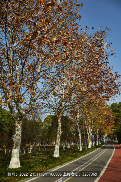 蕪湖市雕塑公園步道