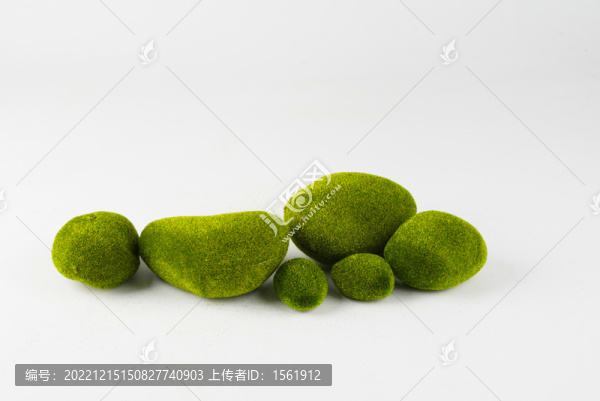 苔蘚石頭